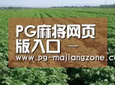 种植基地五