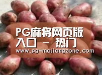产品展示标题5(图1)