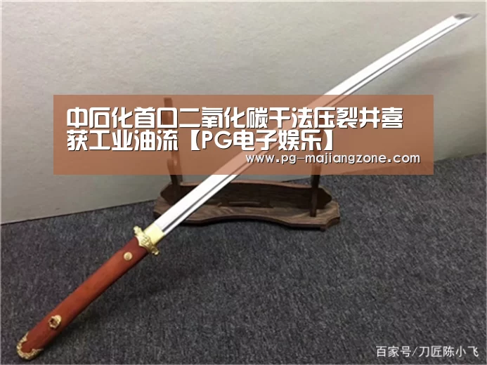 PG麻将网页版入口