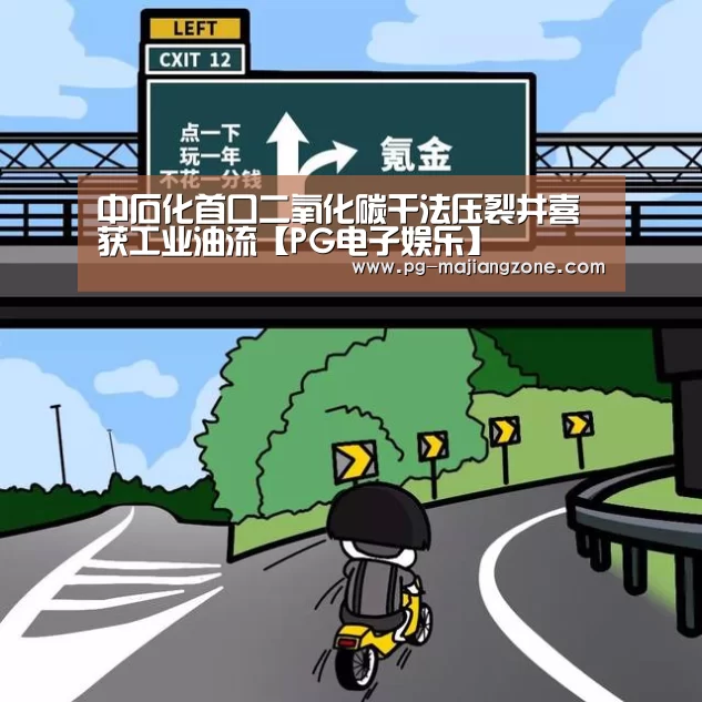 PG麻将网页版入口